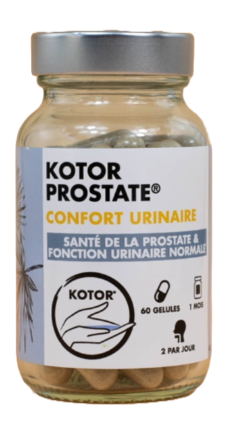 Kotor Prostate